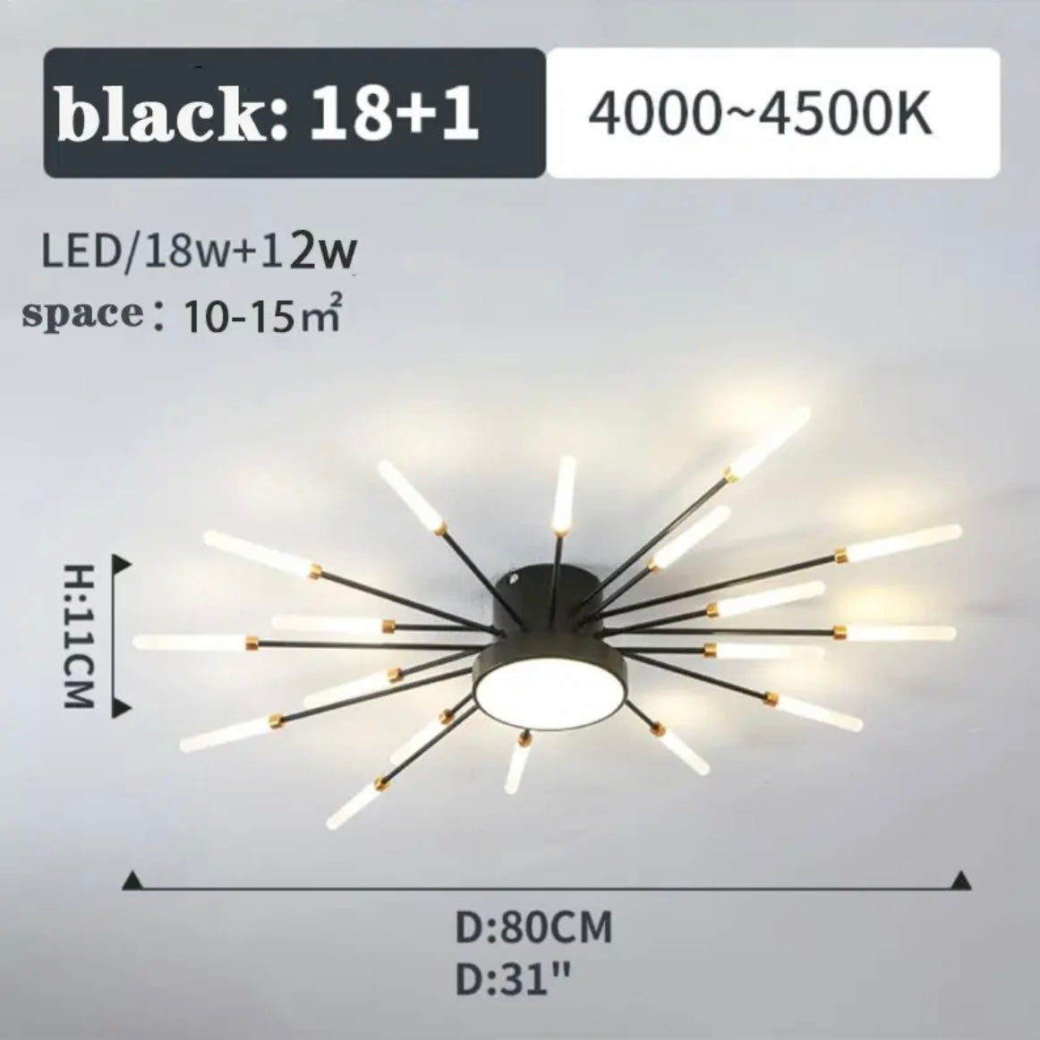 2-In-1 Firework Shaped LED Ceiling Light, with Center Light - b11house Black / 18+1 Heads